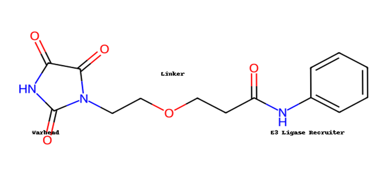 annotated PROTAC structure